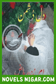 Dil E Dushman Novel by Amreen Riaz
