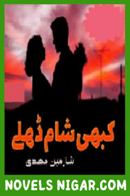 Kabhi Shaam Dhale Novel By Shazmeen Mehdi