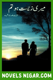 Meri Zeest Ho Tum Novel By Beenish Majeed