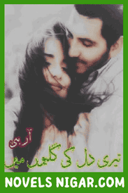 Teri Dil Ki Galiyon Mein Novel By RB Writes